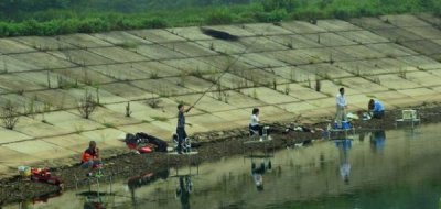 ​梁子湖苦荞酒52度(梁子湖苦荞酒42度多少钱)