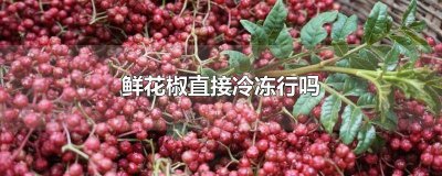 ​鲜花椒能放冰箱冷藏吗 花椒可以冷冻保存吗