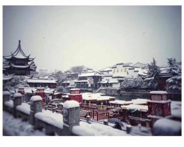 ​雪后的南京，一下雪，南京就成了金陵图片来源于网络